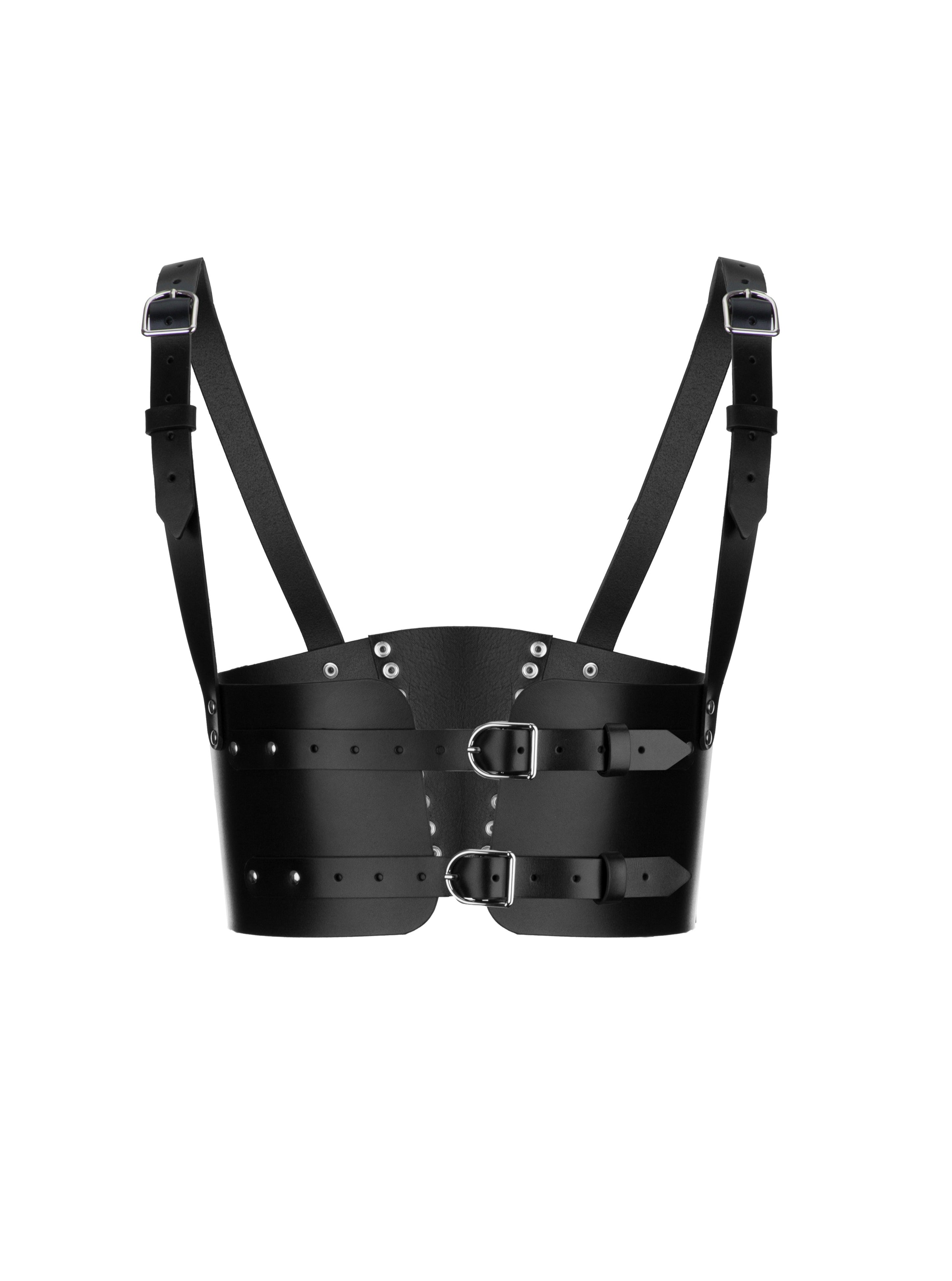 buckle corset harness